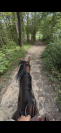 Cheval &agrave; vendre 