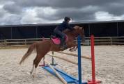 Ponette D de sport polyvalente 5 ans 1m44
