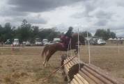 Ponette D de sport polyvalente 5 ans 1m44