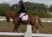 Ponette D de sport polyvalente 5 ans 1m44