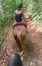 Ponette D de sport polyvalente 5 ans 1m44