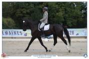 6 ans CCE CL3/am1