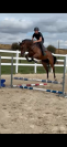 Cheval de sport