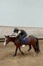 Poney de sport 