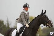 Jument hanovrienne Dressage 5 ans - DamschinoXStedinger