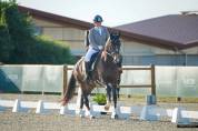 Jument hanovrienne Dressage 5 ans - DamschinoXStedinger