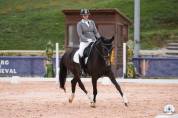 Jument hanovrienne Dressage 5 ans - DamschinoXStedinger