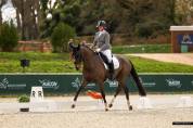 Jument hanovrienne Dressage 5 ans - DamschinoXStedinger