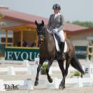 Jument - Westfalien - 7 ans - Fidelius X Santa Cruz