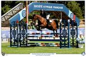 Hongre 7 ans par Upsilon