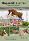 Ponette 2 ans par Ulk d&rsquo;Ete