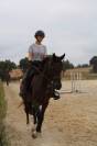 Hongre 9 ans &agrave; vendre 
