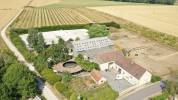 Equestrian Bed and Breakfast  Marne