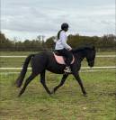 Gentil 4ans