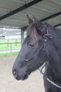 Gentil 4ans