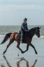 Guyane - trotteuse de 10ans
