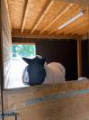 Pension chevaux h&eacute;nansal 