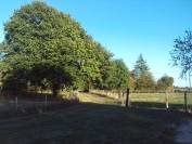 Propri&eacute;t&eacute; &eacute;questre Sud Mayenne 9ha 