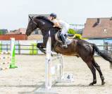 Betrouwbare BWP-ruin van 14 jaar: Springen en recreatie