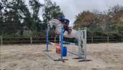 Beau SF de 8 ans 