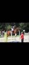 Cheval