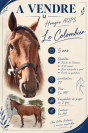 ? &Agrave; vendre &ndash; Le Colombier 