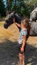 Colt Origin Recorded For sale 2026 Grey
