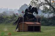 Cavallo irlandese da completo 11 anni