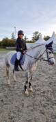 ? &Agrave; VENDRE - HELIOTT - Poney D de 1m47 - 9 ans?