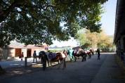 Enseignant / animateur d&rsquo;&eacute;quitation H/F