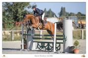 Cheval id&eacute;al pour Hunter ou cso