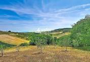 PROPRIETE DE CARACTERE RENOVEE - BEAUJOLAIS