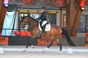 3 ans Dressage