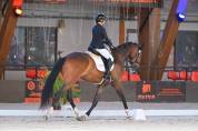 3 ans Dressage