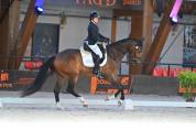 3 ans Dressage