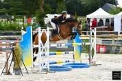 Ponette Welsh D class&eacute;e Poney &Eacute;lite 