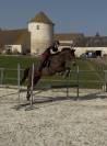 &Agrave; vendre - SF de 12 ans 