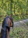 &Agrave; vendre - SF de 12 ans 