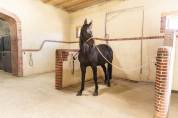 Equestrian property  Seine-et-Marne