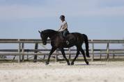Equestrian property  Seine-et-Marne