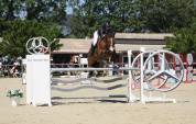 Hongre 15 ans gagnant 140 id&eacute;al amateur 