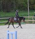 Hongre PS 5ans