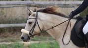 Ponette de CSO