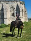 Cheval de loisir 