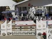 Hongre SF de 7 ans , sans faute 130 moyens 145