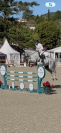 Hongre SF de 7 ans , sans faute 130 moyens 145