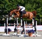 Jument SF de 5 ans sans faute 120-125 moyens 135