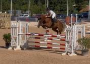 Jument SF de 5 ans sans faute 120-125 moyens 135
