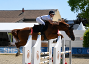 Jument SF de 5 ans sans faute 120-125 moyens 135