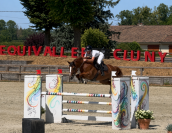 Jument SF de 5 ans sans faute 120-125 moyens 135